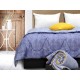 BLANKET SUMMER RESTFUL RV51V52 BS 200X220 BM